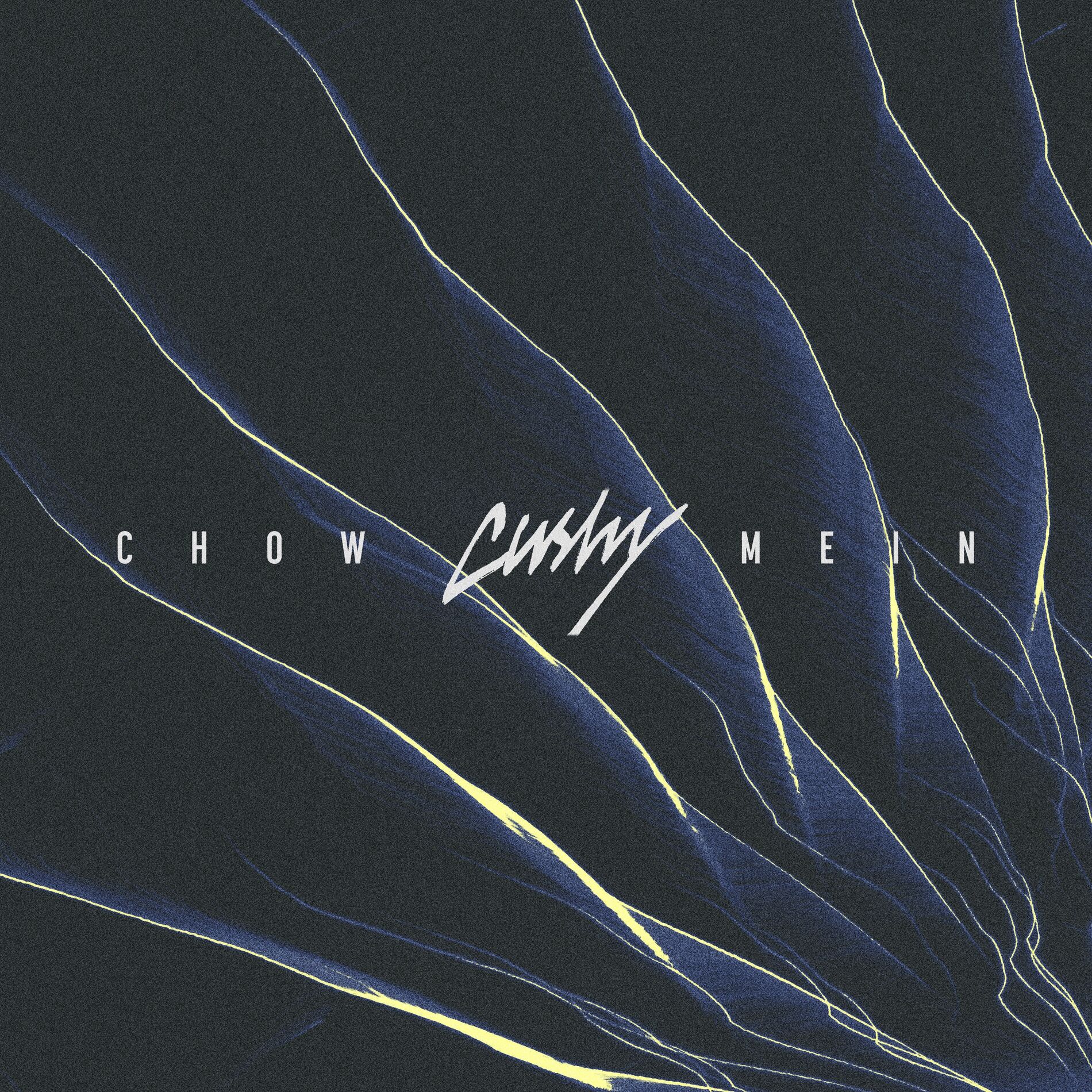 Album cover of Chow Mein