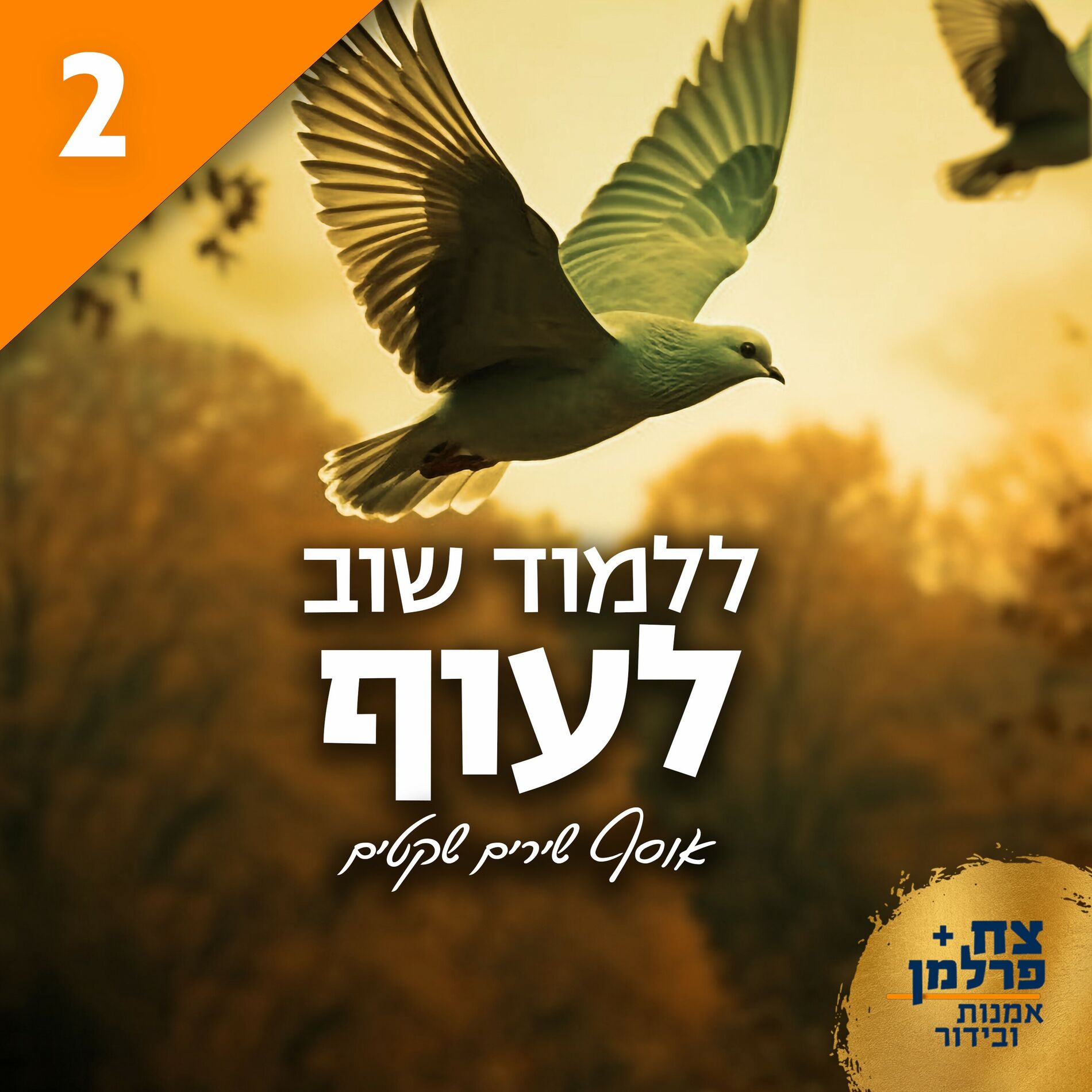 Album cover of ללמוד שוב לעוף 2 (אוסף שירים שקטים)