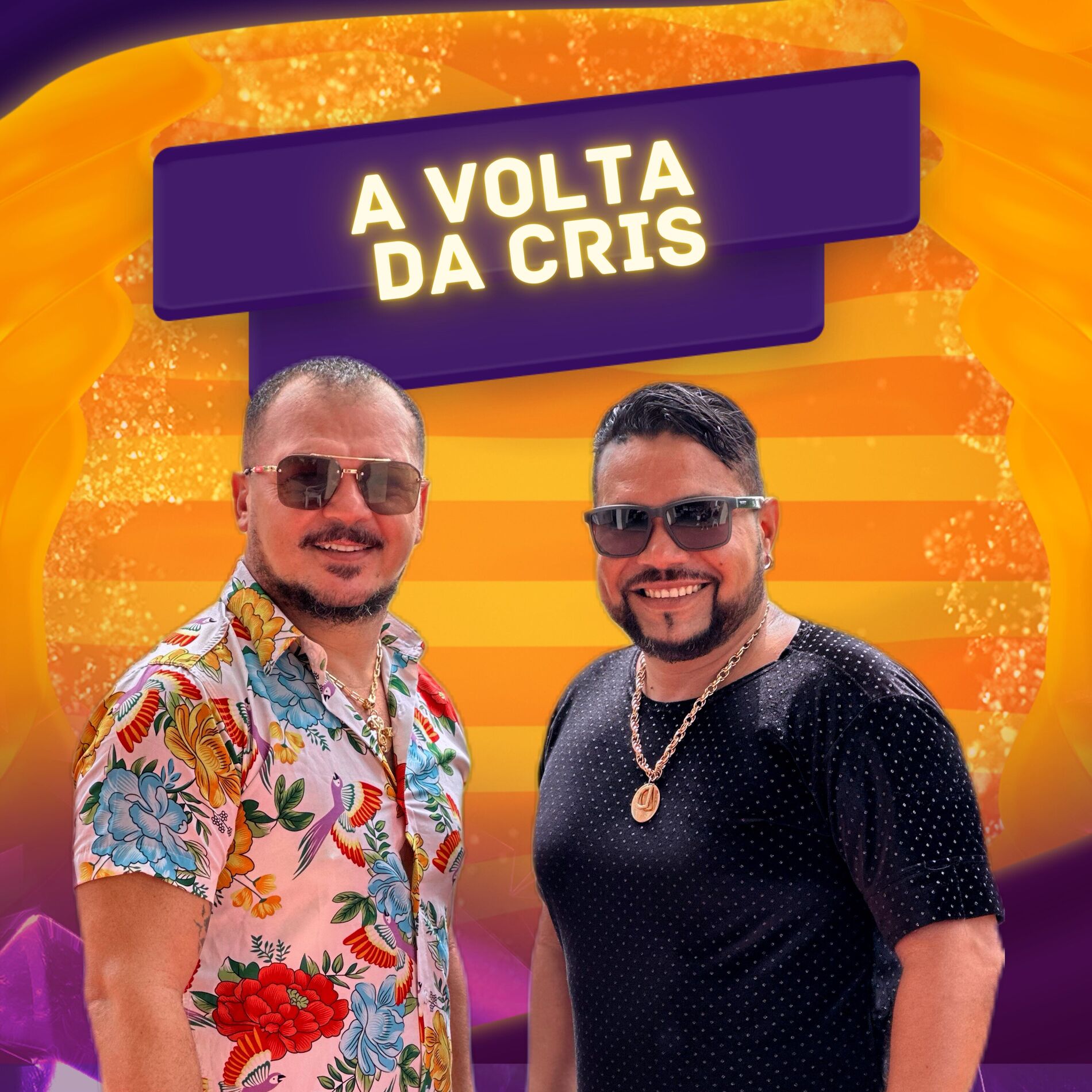 Album cover of A Volta da Cris