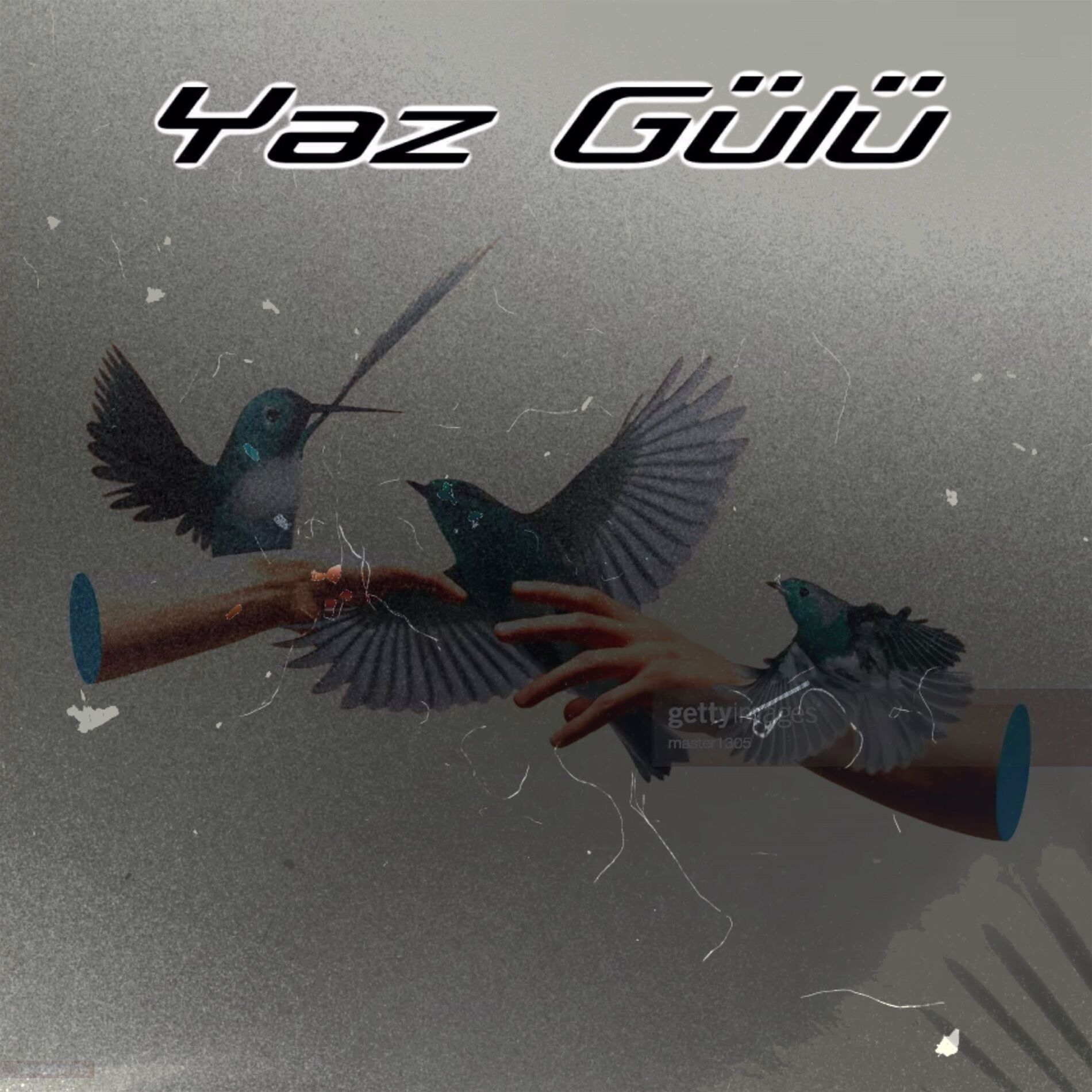 Album cover of Yaz Gülü