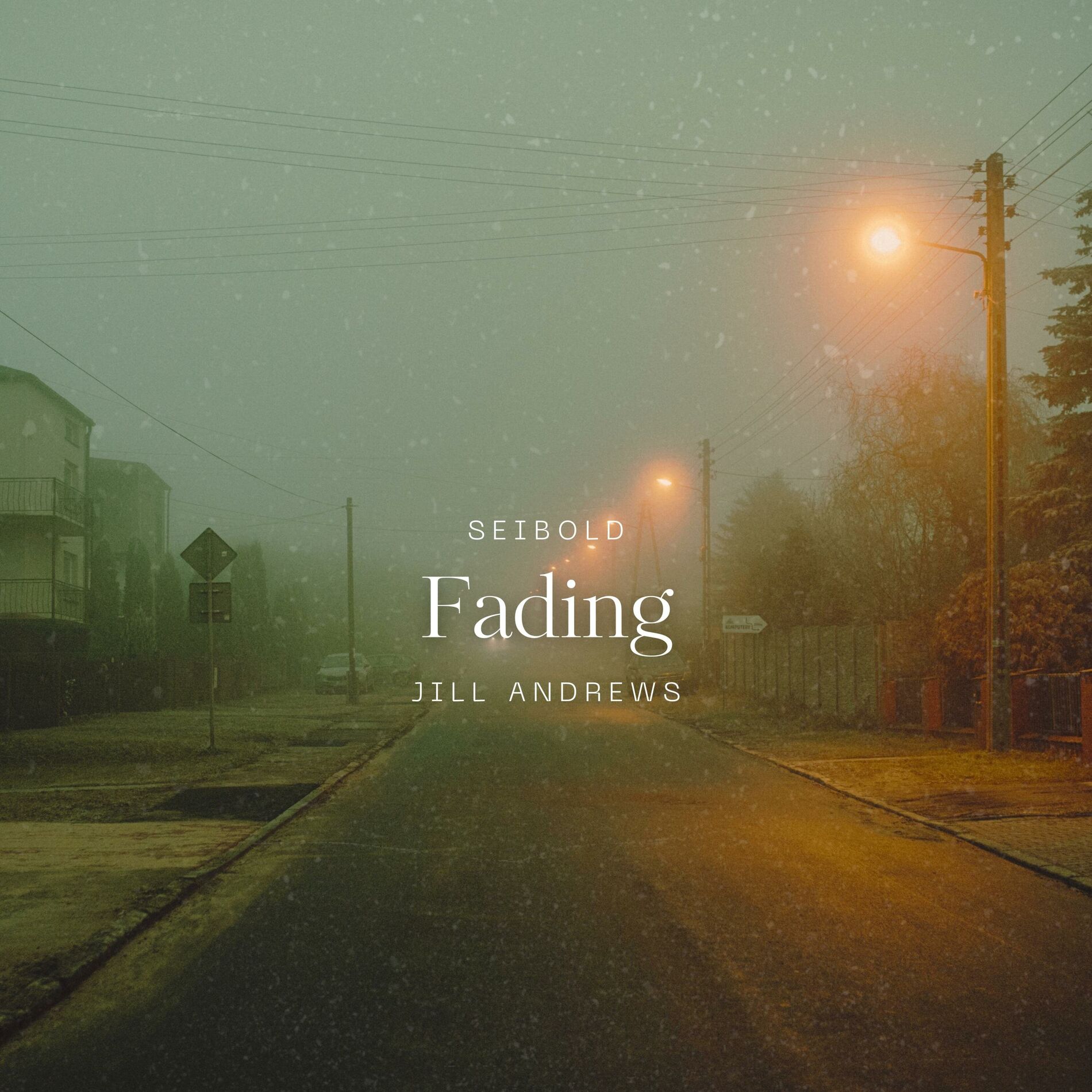 Album cover of Fading (feat. Jill Andrews)