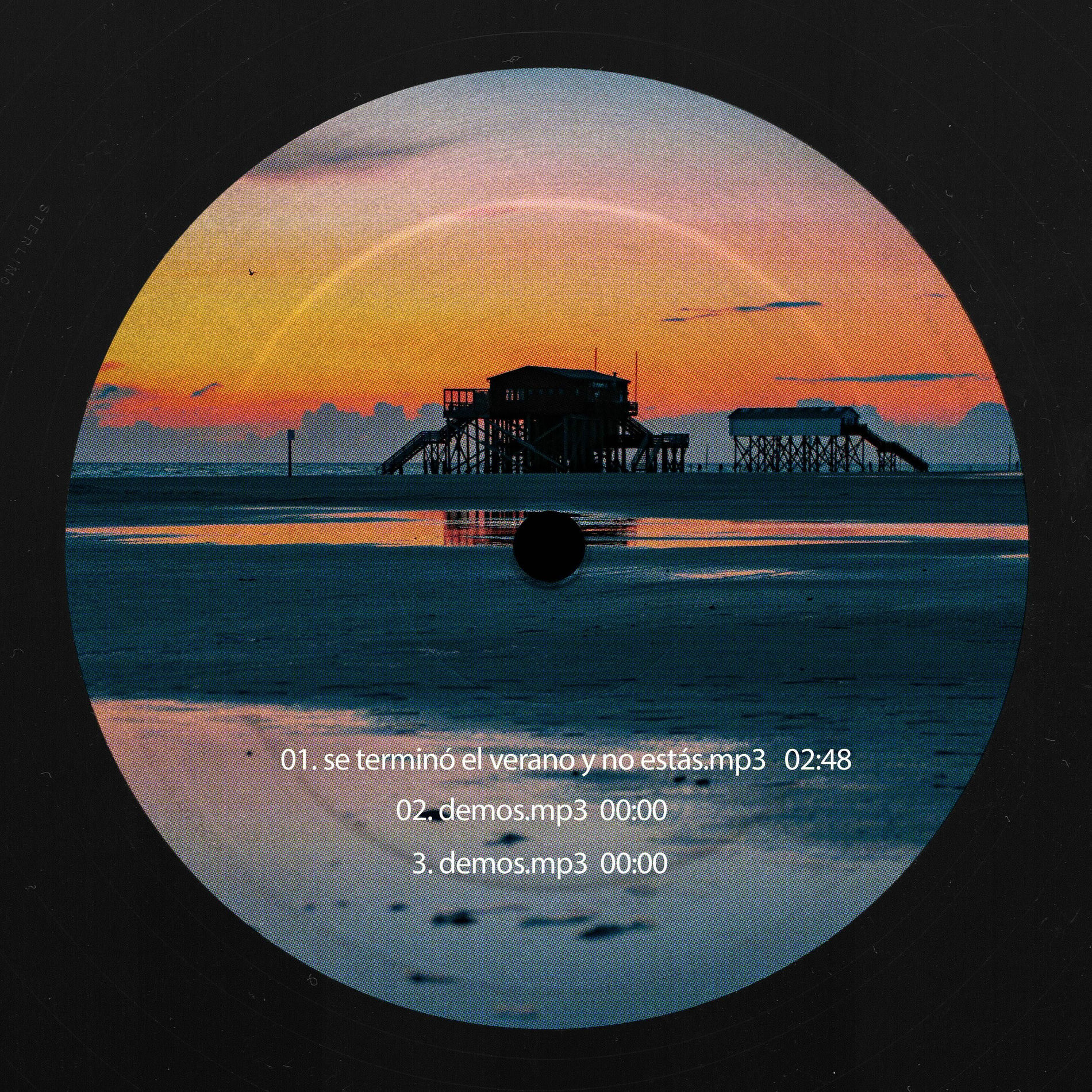 Album cover of se terminó el verano y no estás.mp3