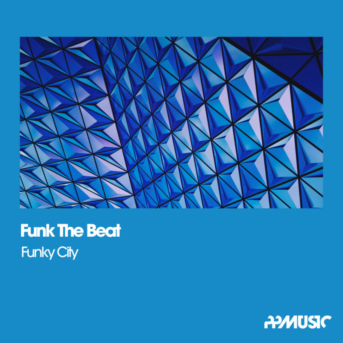 Album cover of Funky City