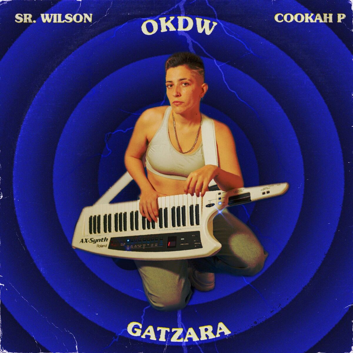 Album cover of Gatzara