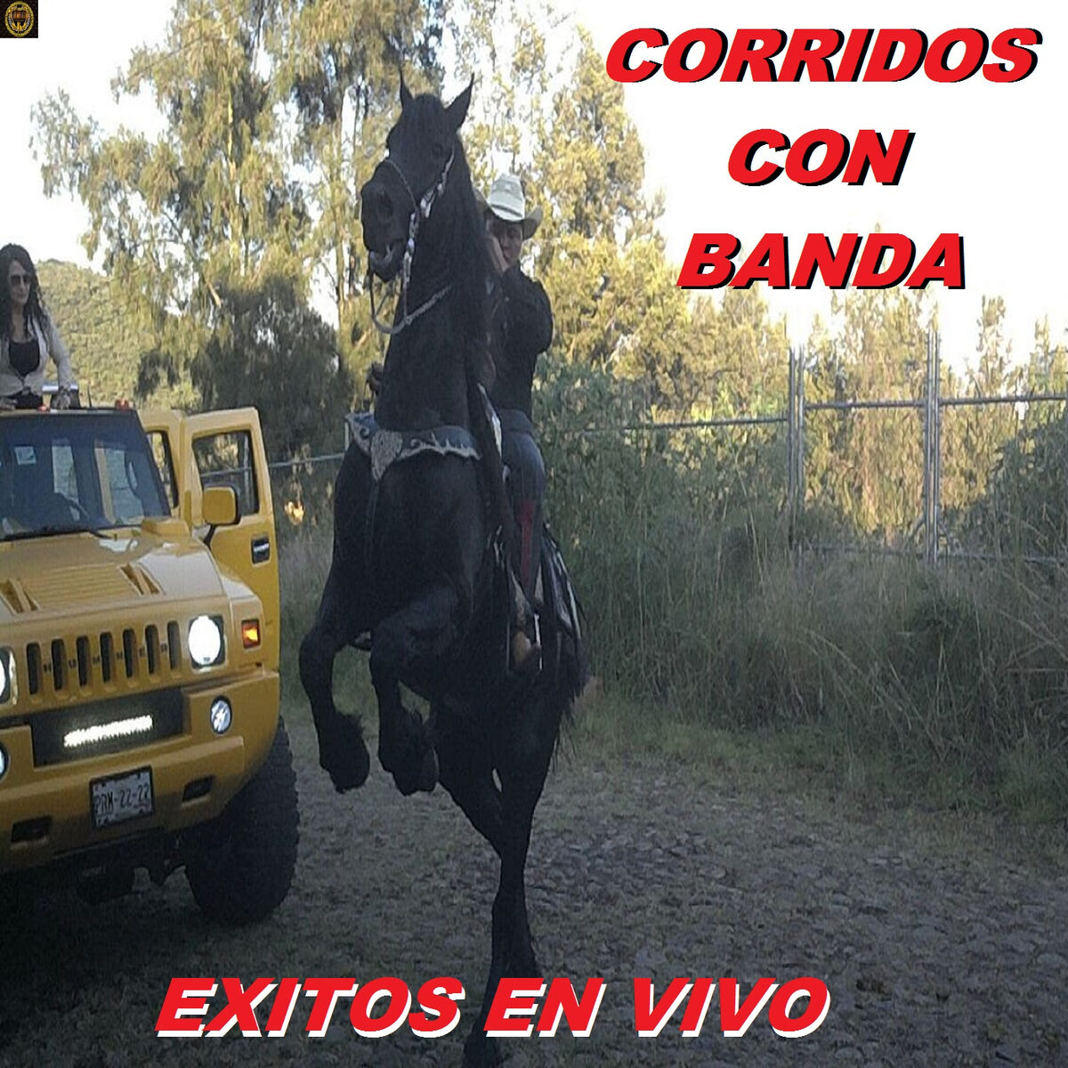 Album cover of Exitos En Vivo