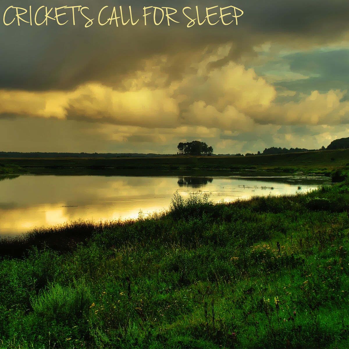 Album cover of Cricket's Call for Sleep