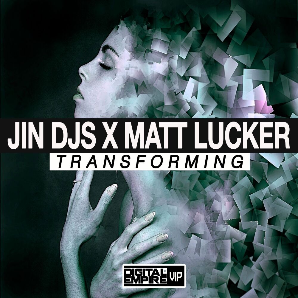 Picture of Transforming