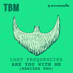 Cover of Are You With Me (Remixes Two)