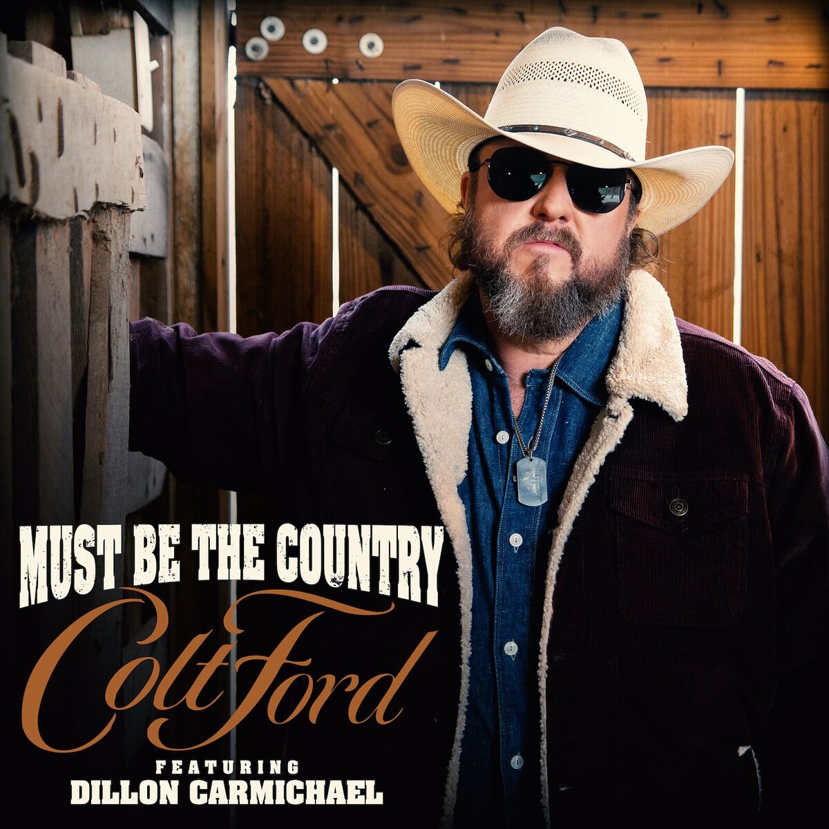 Album cover of Must Be the Country