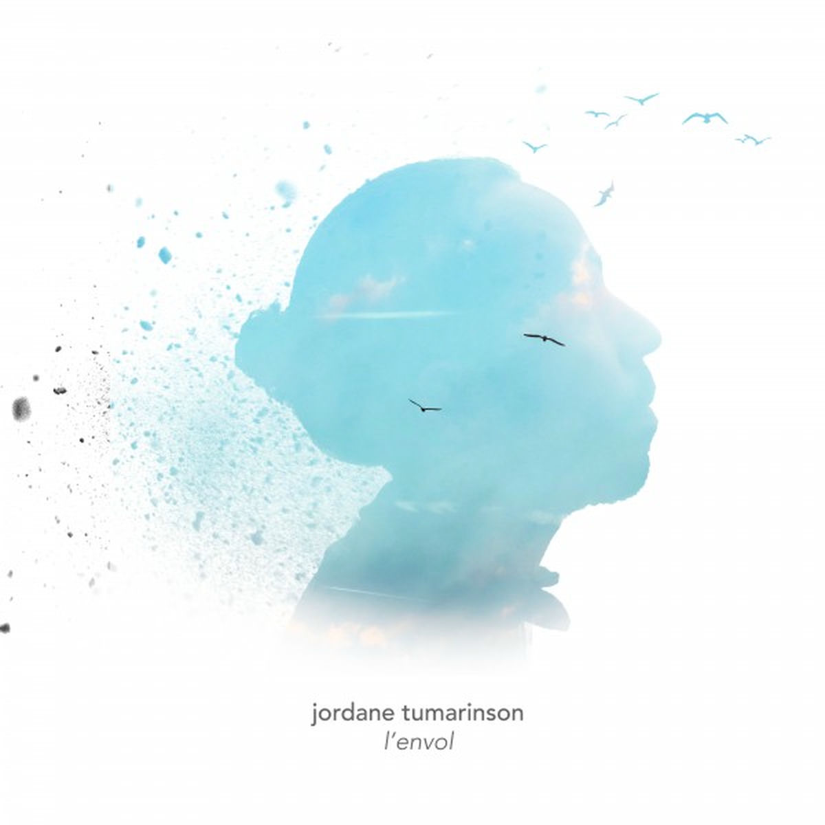 Album cover of Inertie