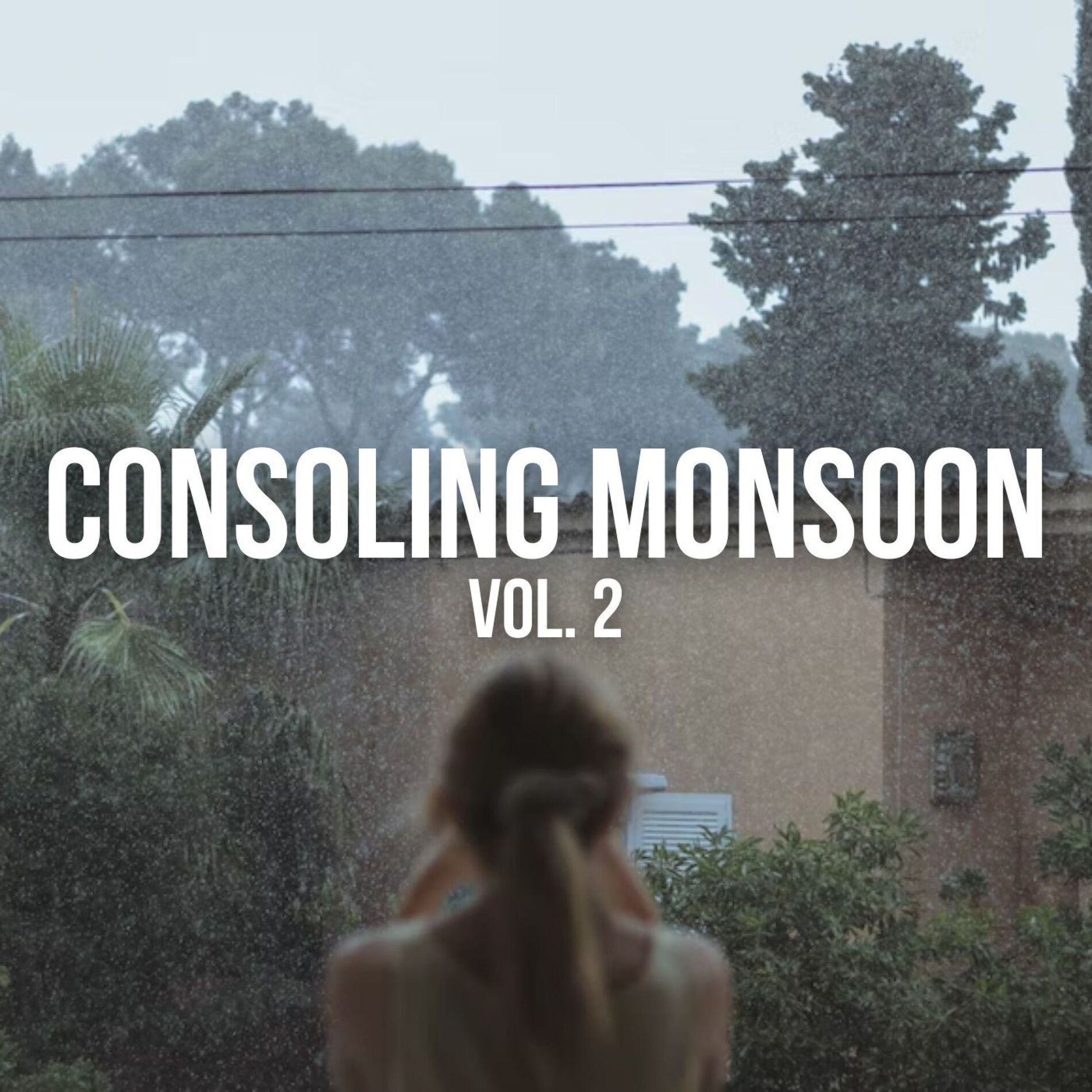 Album cover of Consoling Monsoon Vol. 2