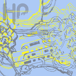 Cover of Homegroove Project