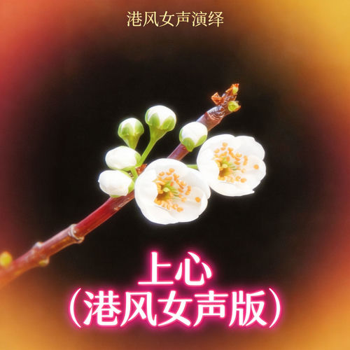 上心(港风女声版)
