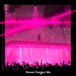 Cover of Never Forget Me