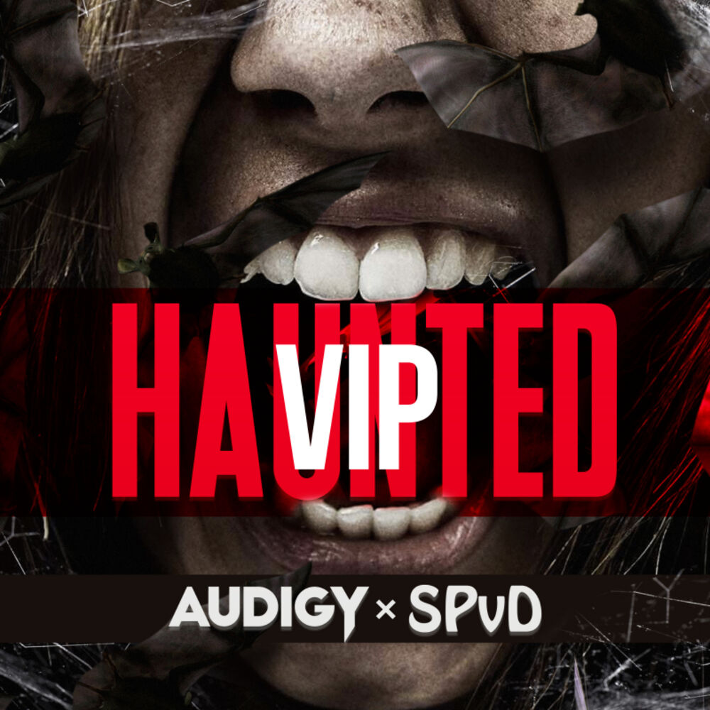 Picture of Haunted VIP