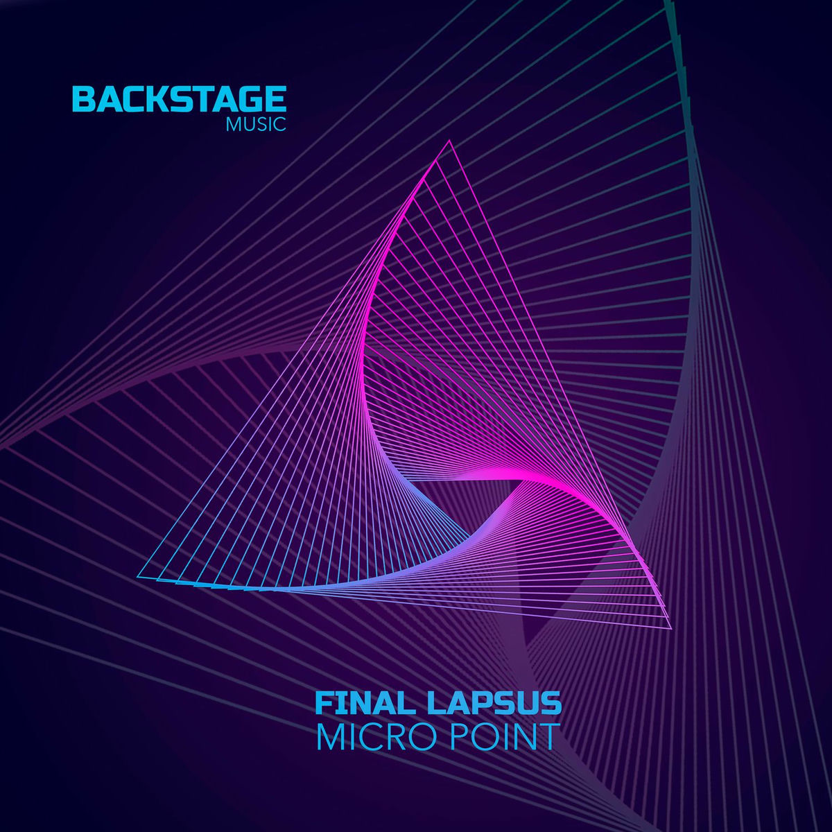 Album cover of Final Lapsus