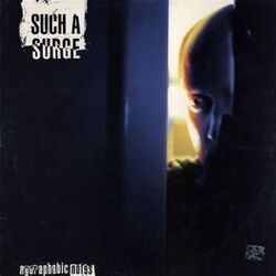 Cover of Agoraphobic Notes