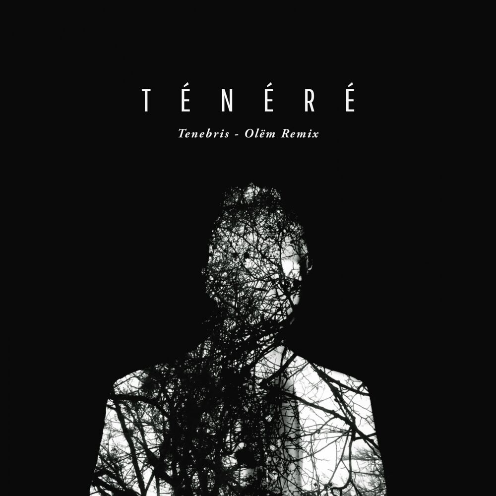 Picture of Tenebris (Olëm Remix)