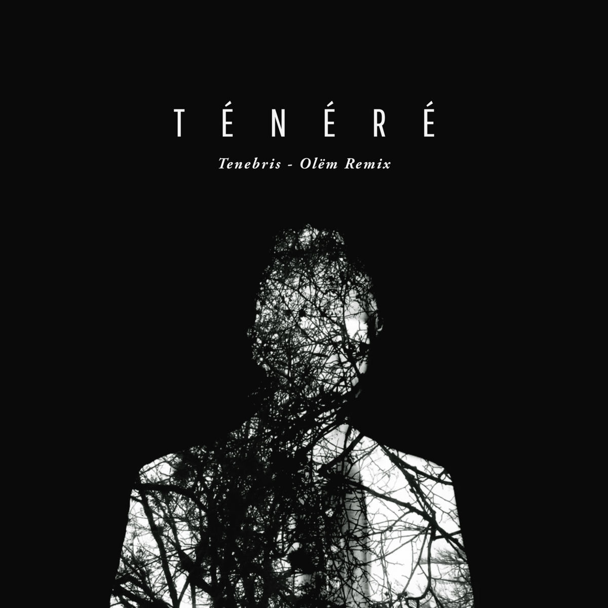 Album cover of Tenebris (Olëm Remix)