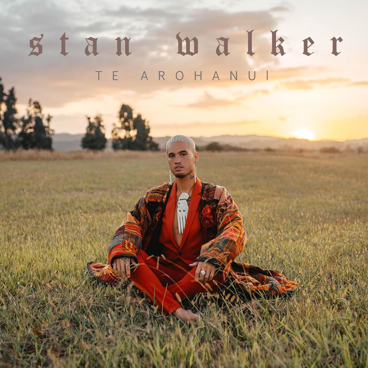 Album cover of Te Arohanui