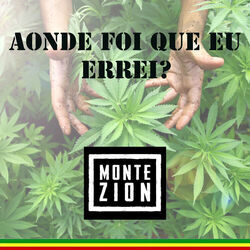 Cover of Aonde Foi Que Eu Errei?