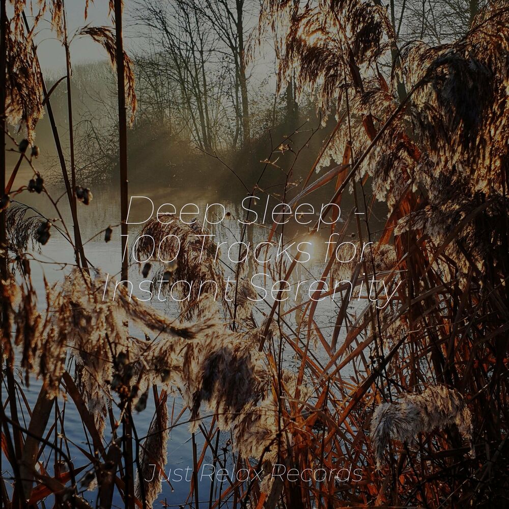 Picture of Deep Sleep - 100 Tracks for Instant Serenity