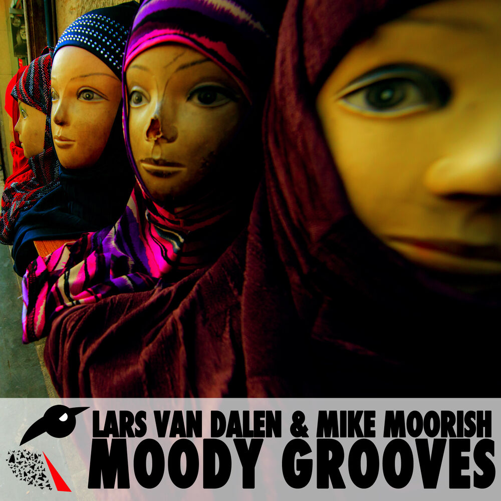Picture of Moody Grooves
