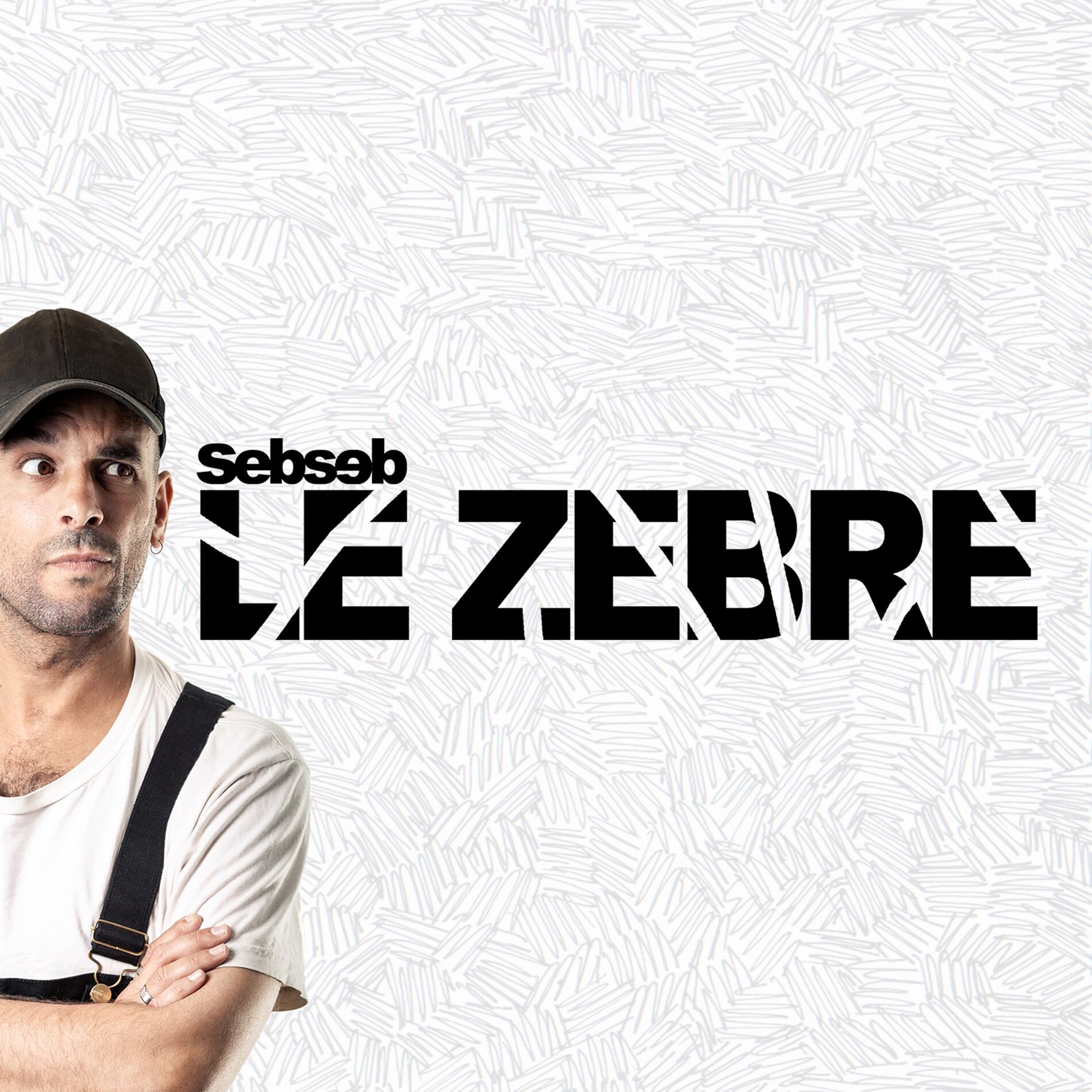 Album cover of Le Zèbre