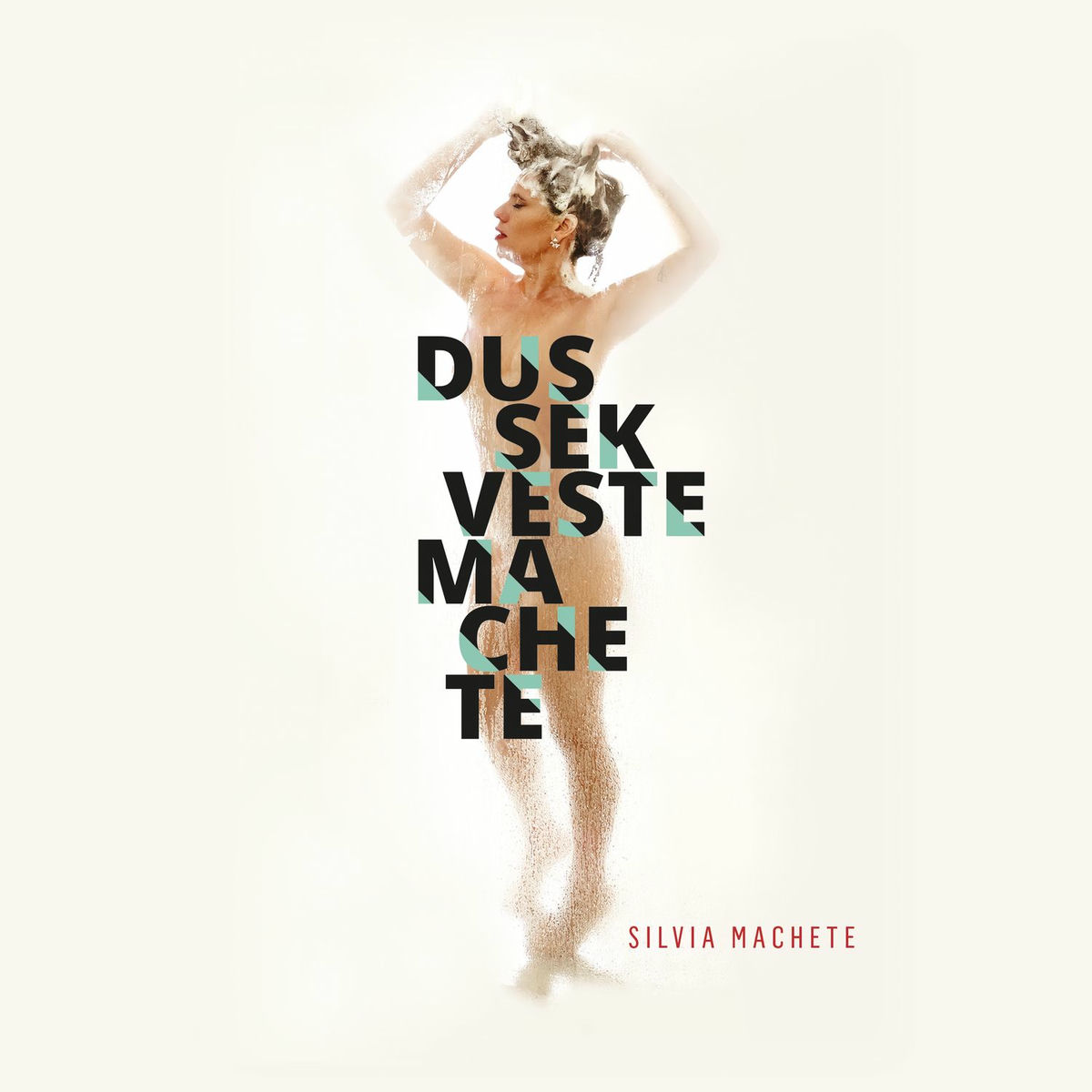 Album cover of Dussek Veste Machete