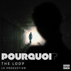 Cover of Pourquoi?