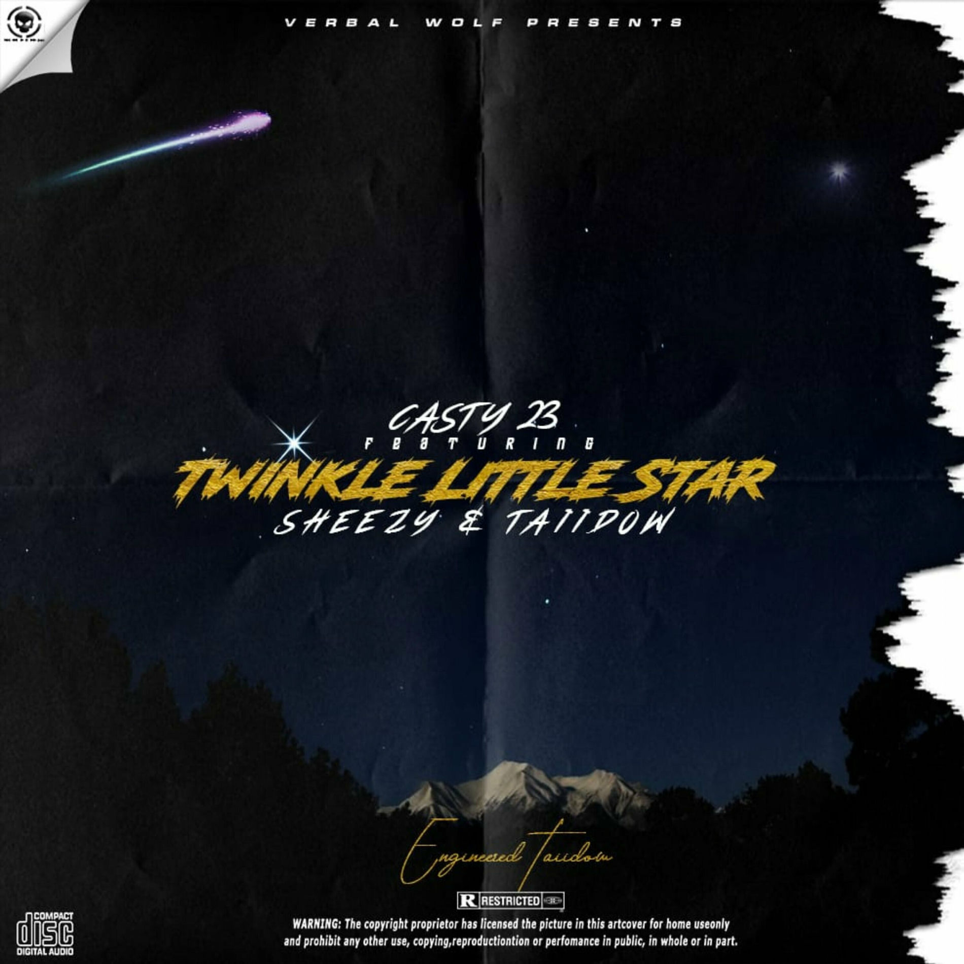 Album cover of Twinkle Little Star