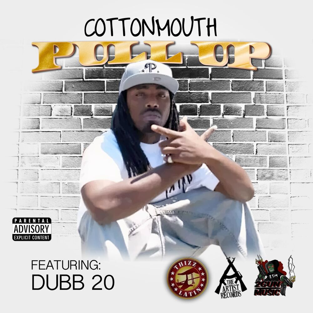 Picture of Pull Up (feat. Dubb 20)