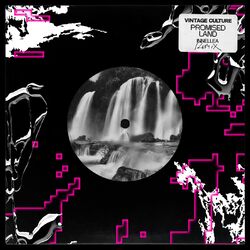 Cover of Promised Land (Innellea Remix)