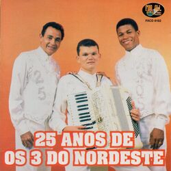 Cover of 25 Anos