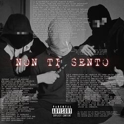 Cover of NON TI SENTO
