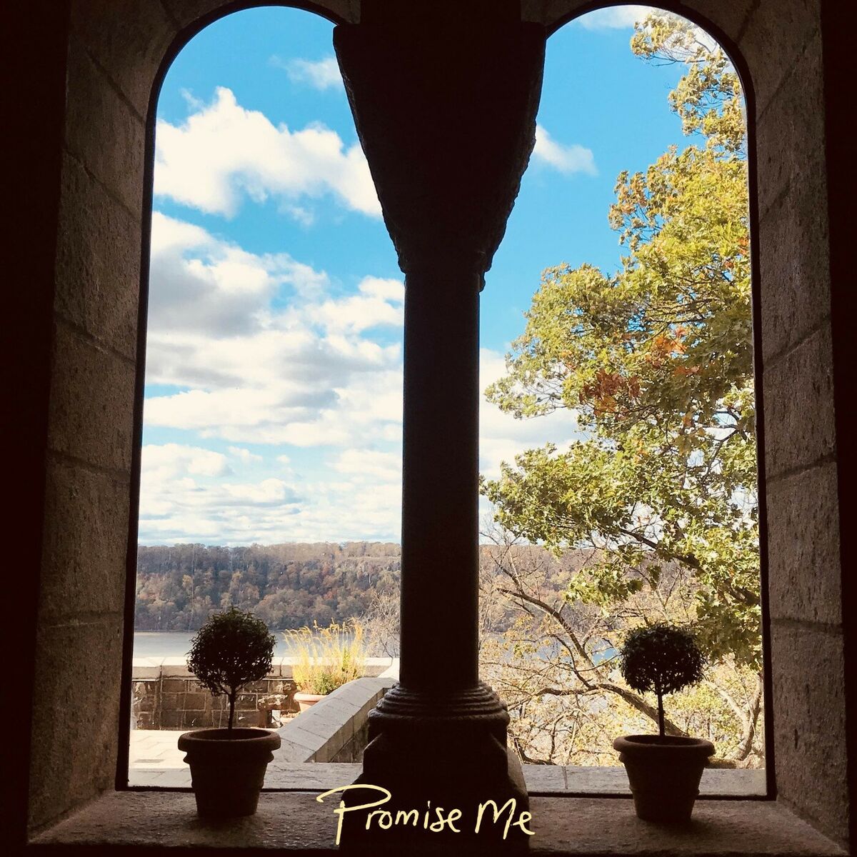 Album cover of Promise Me