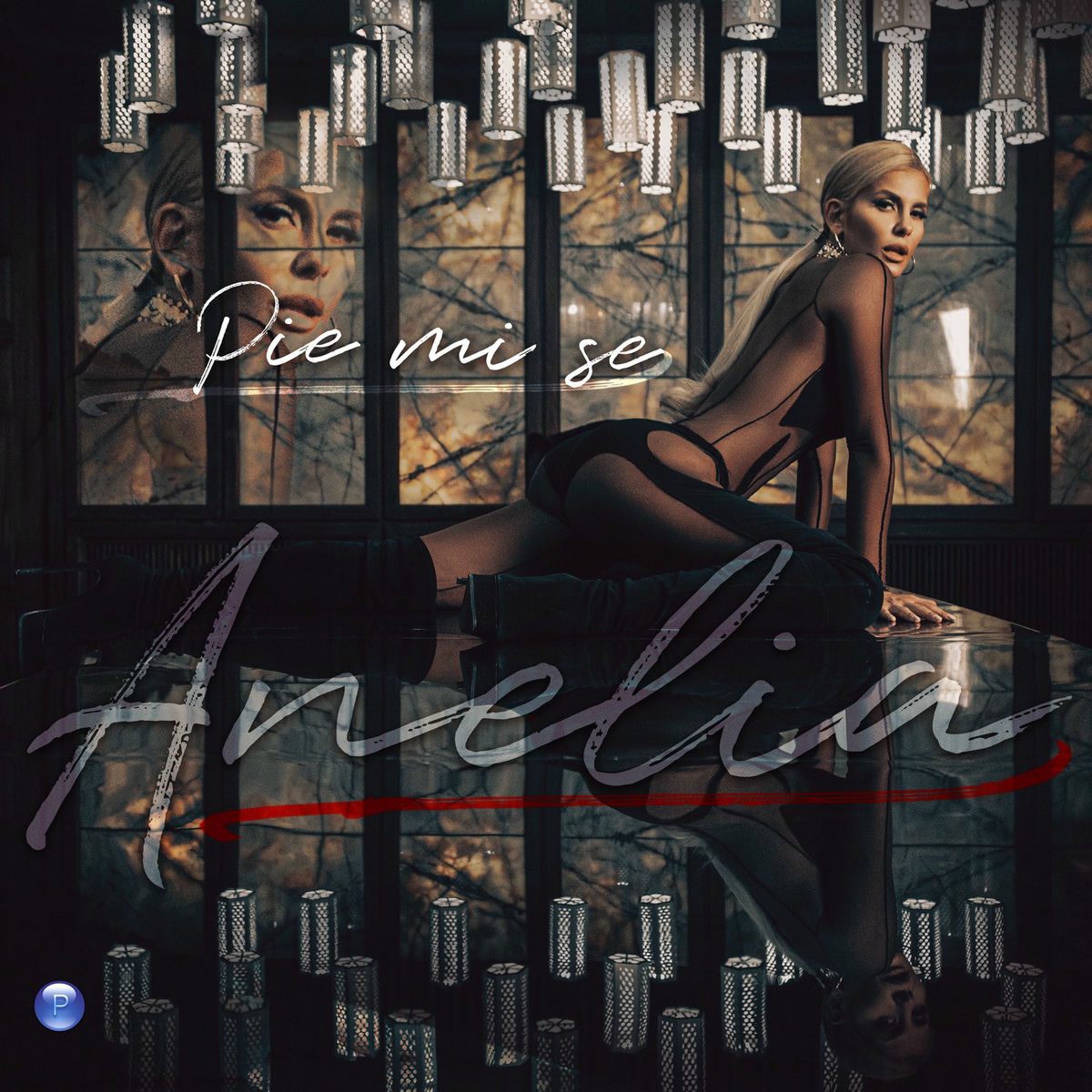 Album cover of Pie mi se