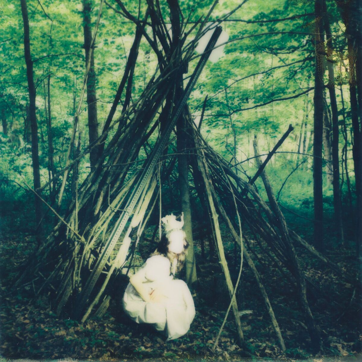 Album cover of Dreamer