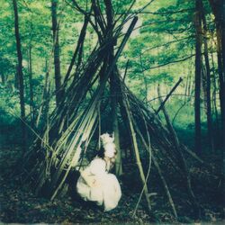 Cover of Dreamer