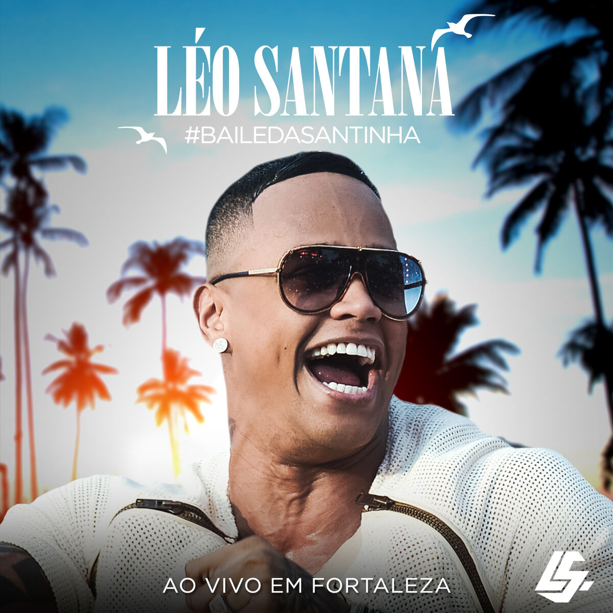Album cover of Santinha