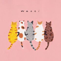 music cover