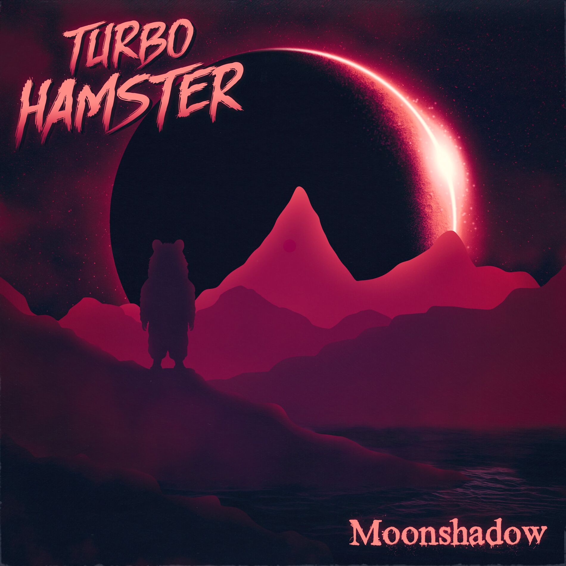 Album cover of Moonshadow