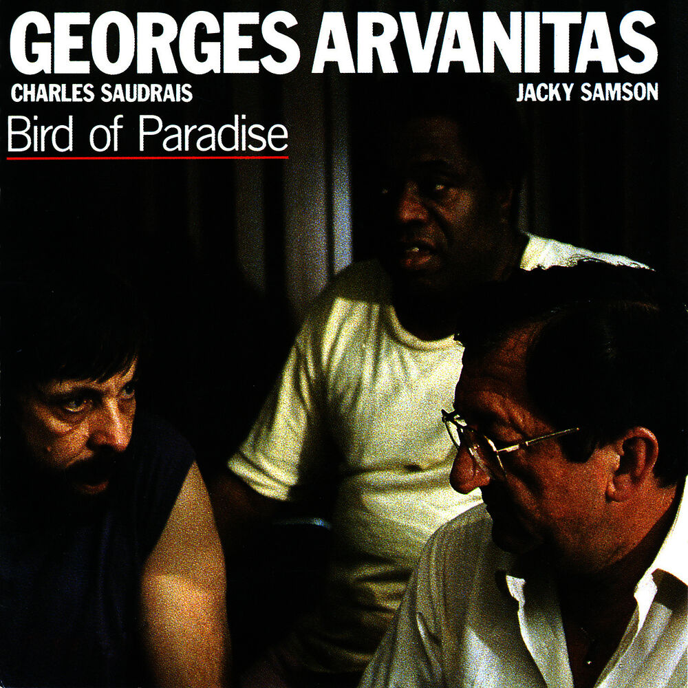 Picture of Bird of Paradise