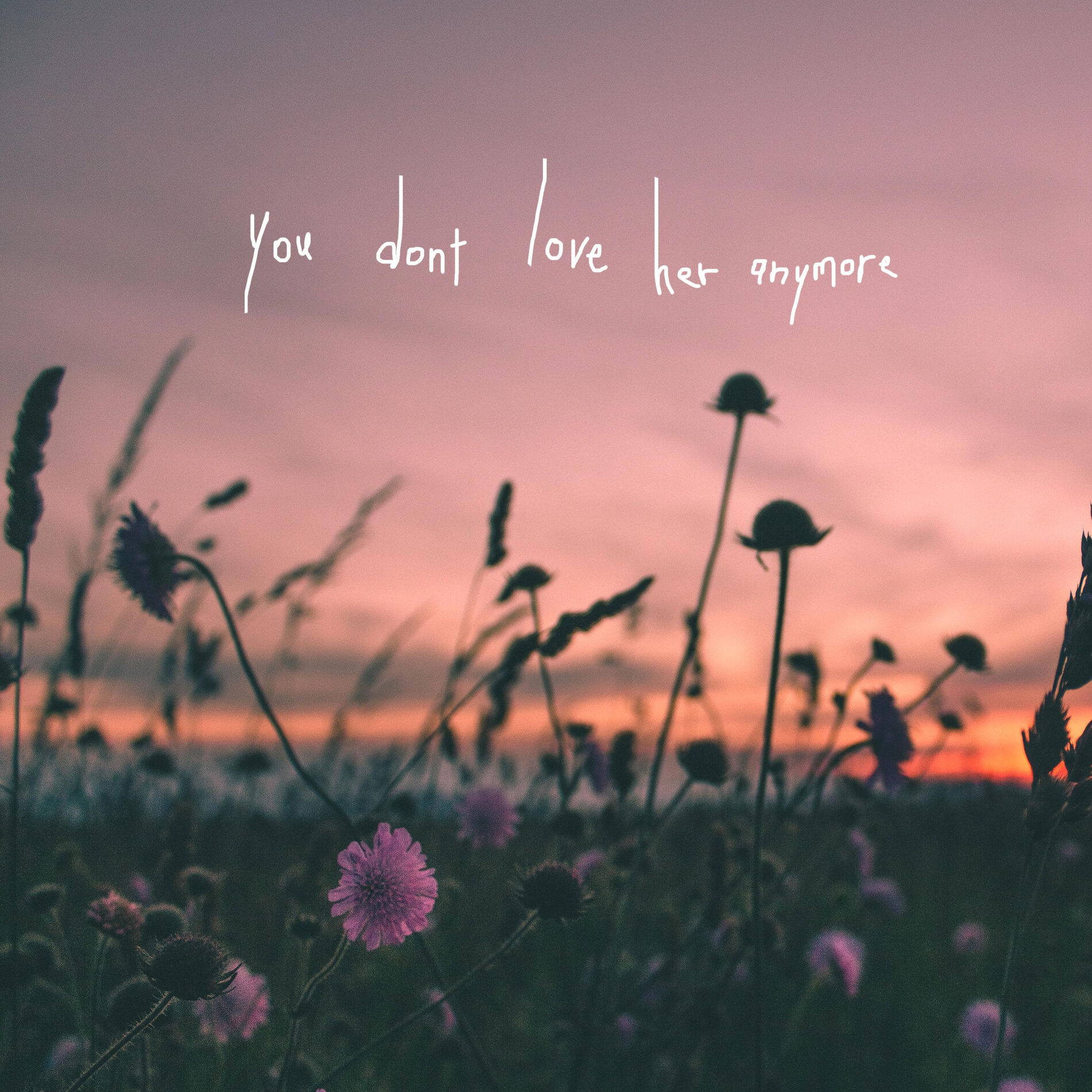 Album cover of you don't love her anymore