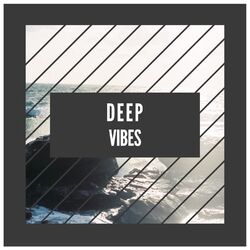 Cover of # Deep Vibes