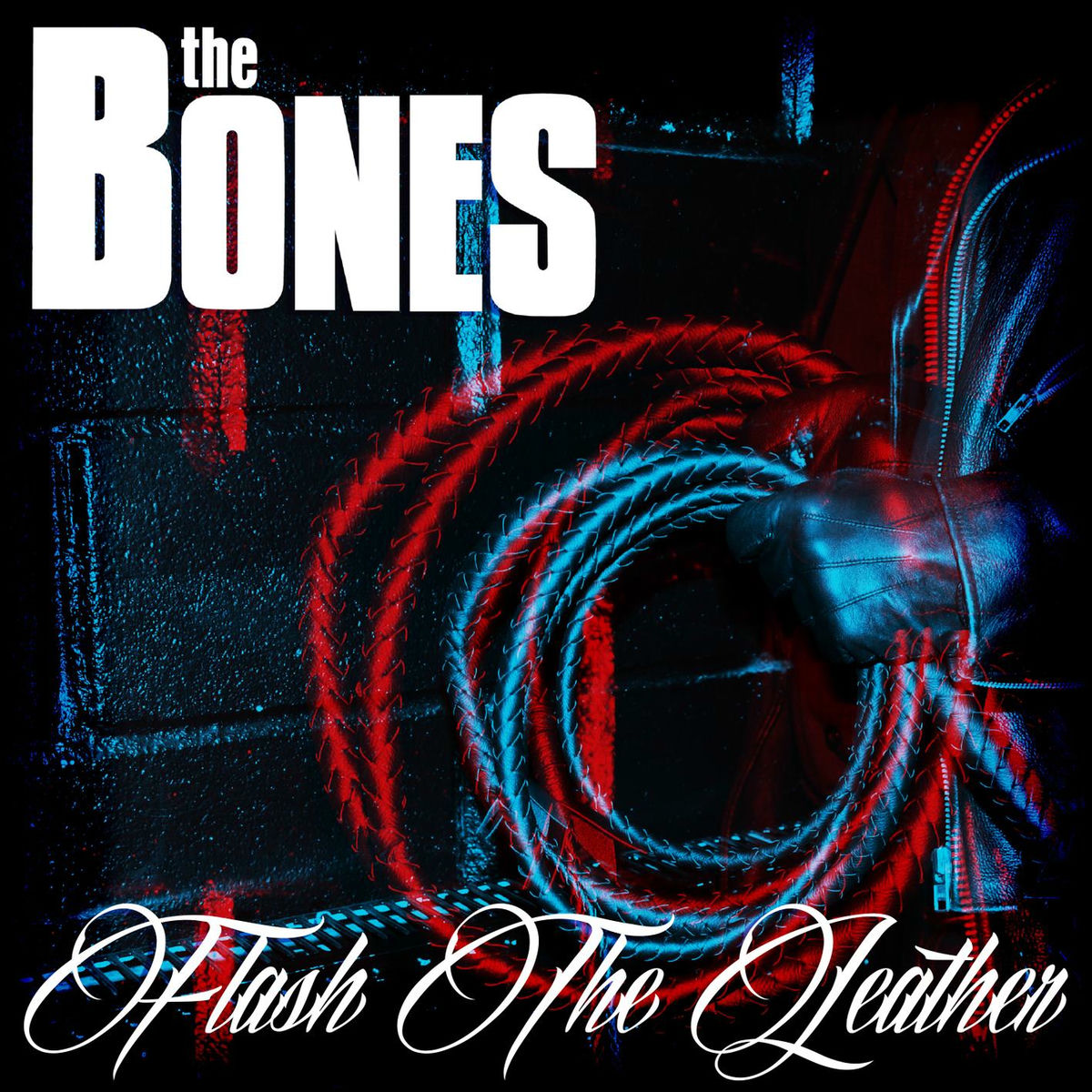 Album cover of Flash The Leather
