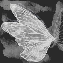Cover of Gossamer (Vines version)
