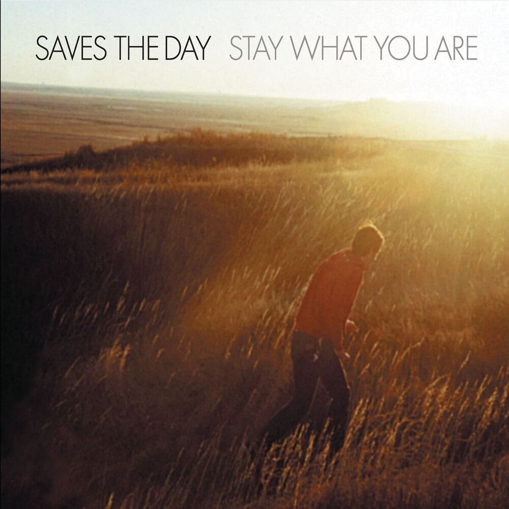 Picture of Stay What You Are