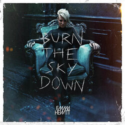 Cover of Burn The Sky Down