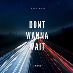 Cover of Dont Wanna Wait